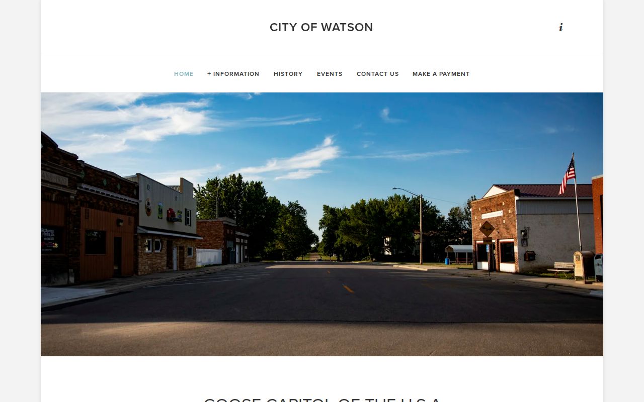 Chippewa County city court warrant records: the Watson city site that routes ordinance enforcement to the sheriff