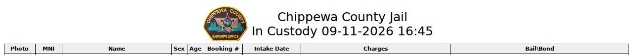 Chippewa County warrant records: the in custody list interface that is not a warrant search